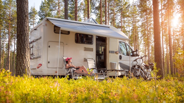 RV trailer in a sunny forest